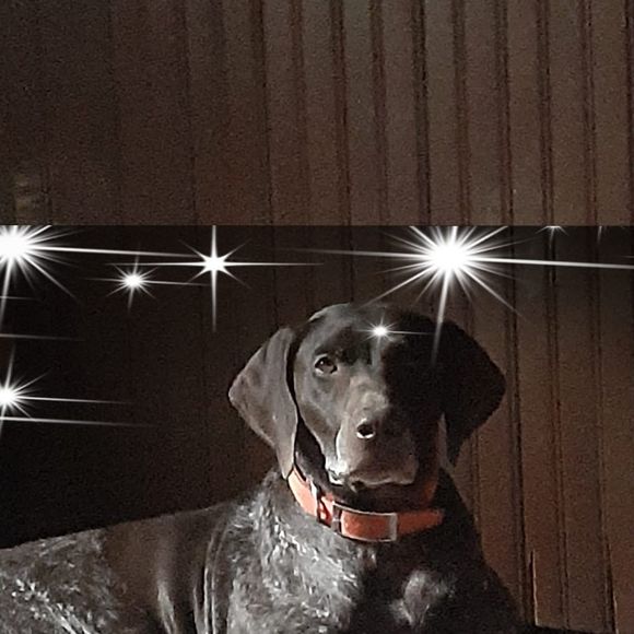 Meet your Posher, Terry - Picture 1 of 1